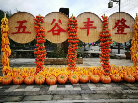 首届农民丰收节，前沿农业科技成为大亮点