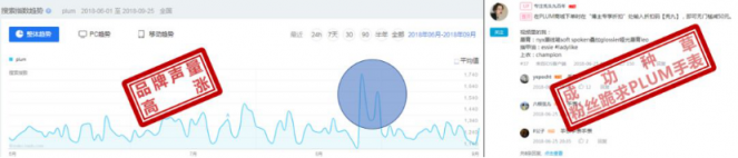 双十一营销的几点诀窍 微播易起底两大经典电商案例