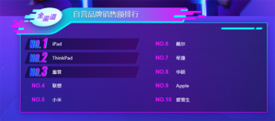 苏宁双十一电脑悟空榜：iPad称王，ThinkPad能反攻吗？