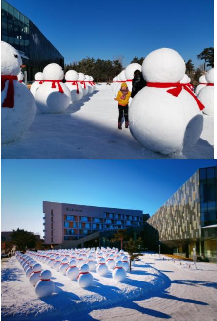 最大的雪人军团 北方人都羡慕哭了