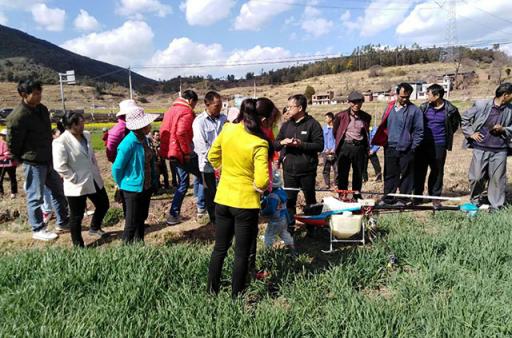 植保无人机助力武定县农作物病虫害统防统治培训会