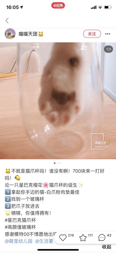 成功买到星巴克限量猫爪杯的人都汇聚在了小红书?是的没错!