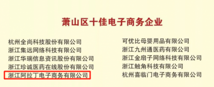 浙江阿拉丁电子商务有限公司荣获2018年度萧山区十佳电子商务企业