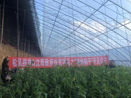 松鼠拼拼携手沈阳市政府精准扶贫，共同打造甜蜜事业