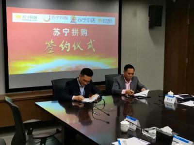 把电商扶贫落到实处 苏宁拼购与泸水市政府达成战略合作