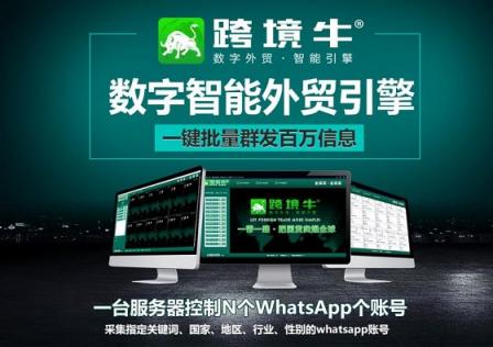 数字云WhatsApp群控可以使您的业务受益的5个领域