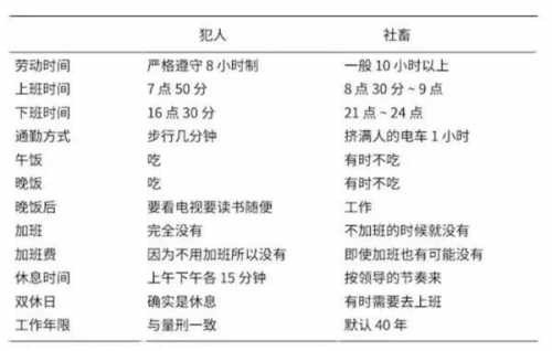 米小煲x米家电磁炉,让生活成为生活