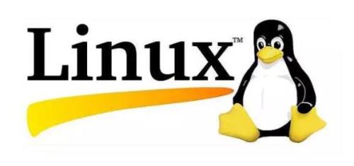 感受开源之美，共享 Linux 的安全与便捷