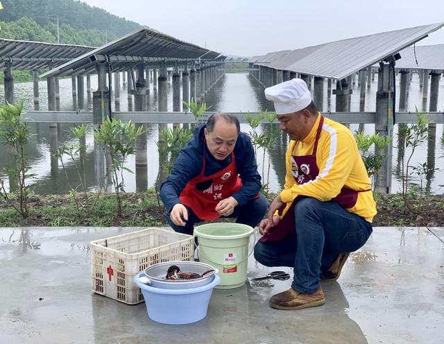 小龙虾成拼购市场“网红”苏宁“拼基地”模式获多家媒体瞩目