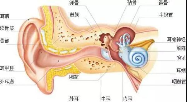 在挑选耳机时你需要注意这个 低频过高可能会导致听力受损