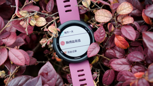 Garmin Forerunner 245，全新升级带来全新体验