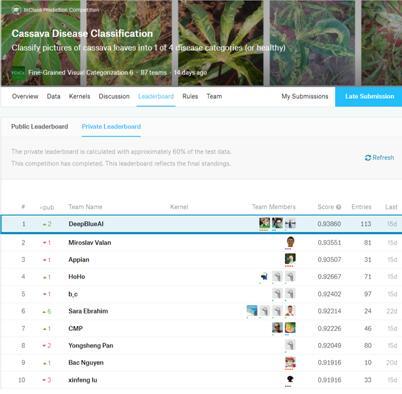 深兰科技斩获CVPR 2019 Cassava Disease Classification挑战赛冠军