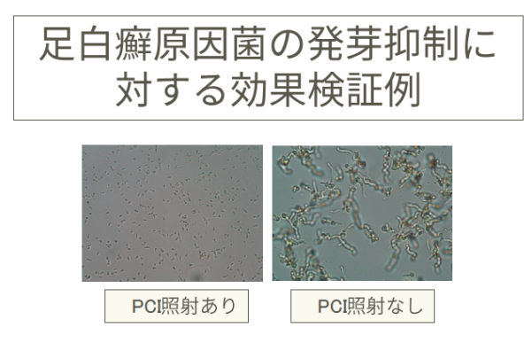 科技界的宝藏男孩 夏普黑科技PCI技术再曝新功能 5G手机已交付