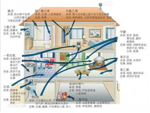 中拓智森:别再让室内空气污染成为我们呼吸的痛！