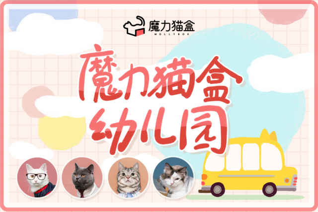 《新生日记》养猫论引发热议，魔力猫盒幼儿园解锁科学养猫姿势