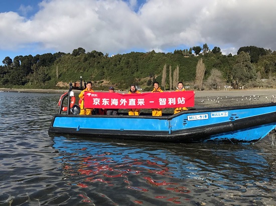 从新西兰奇异果到挪威三文鱼 京东生鲜成国际大牌首发阵地