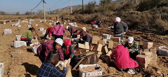 仅用一个小程序，传统国货品牌七匹狼挺进下沉市场实现新增客流90万