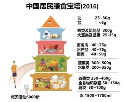 【蒙牛营养研究院 】合理膳食，活性酸奶好处多