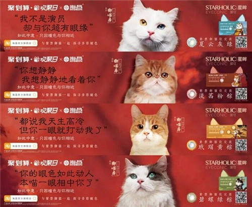 杭州碧橙三度蝉联天猫六星，四招助力品牌数字化升级