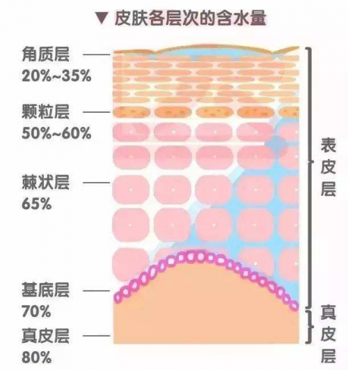 干皮如何补水？正确补水方式让你度过干燥春季