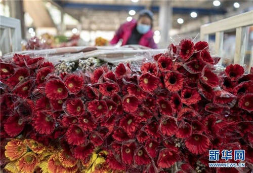 爱心助农，花加FLOWERPLUS的暖心之策