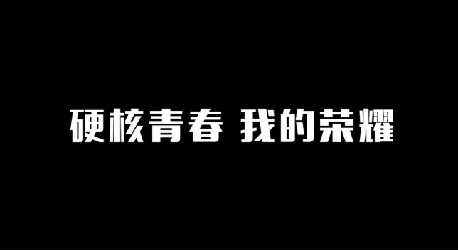 “后浪”一代的荣耀