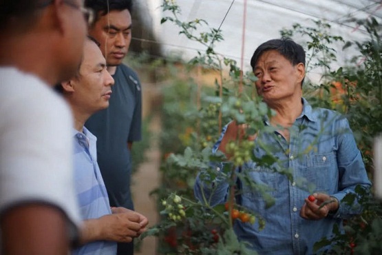 中和农信：管种管收管卖，让种植户“省点心”