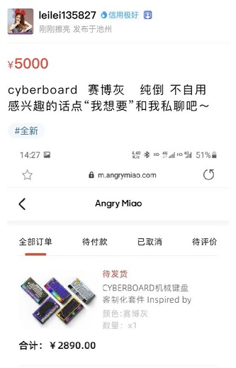 CYBERBOARD向特斯拉取经成功，国外受追捧国内秒售罄