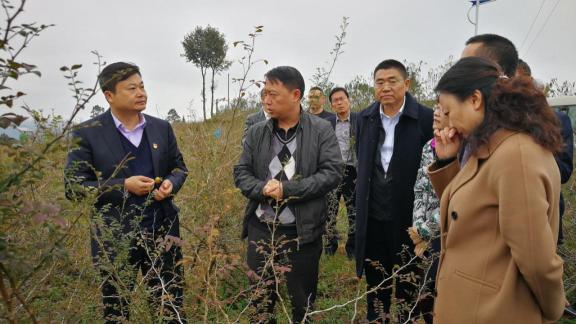 全国消费扶贫月活动成果展示发布会开幕，王老吉扶贫案例现场展出