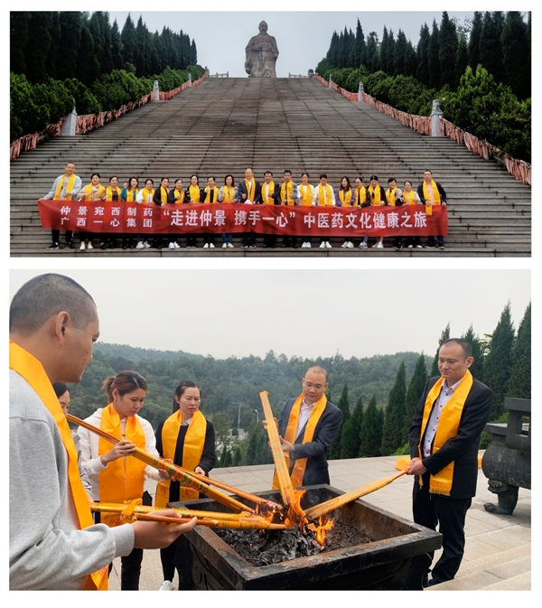 广西一心医药集团走进仲景宛西制药，体验中医药文化之旅