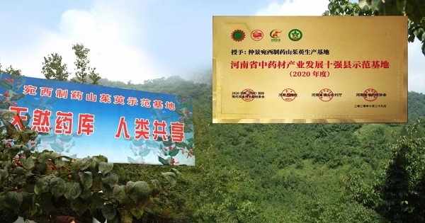 仲景宛西制药山茱萸基地荣获“2020河南省中药材产业发展十强县示范基地” 等荣誉