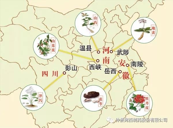 仲景宛西制药山茱萸基地荣获“2020河南省中药材产业发展十强县示范基地” 等荣誉