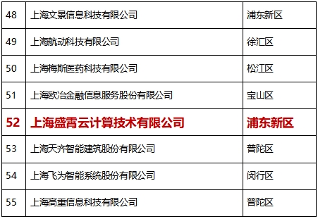 比格云荣获”2020上海软件和信息技术服务业高成长百家”