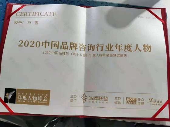 万雪获得2020品牌咨询界年度人物奖