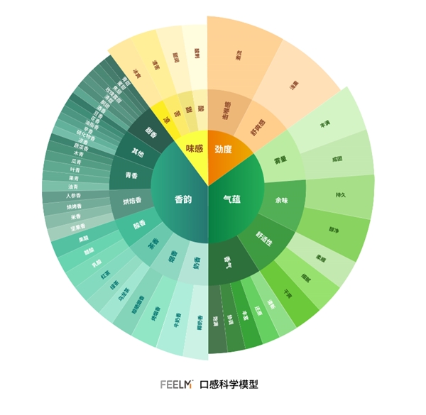 穿越口感秘境，FEELM打造口感科学体系