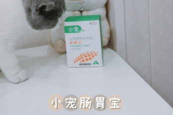 小宠肠胃宝｜如何拥有身体健壮的猫咪