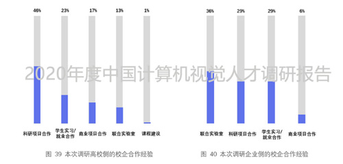 2020年度中国计算机视觉人才调研报告重磅出炉