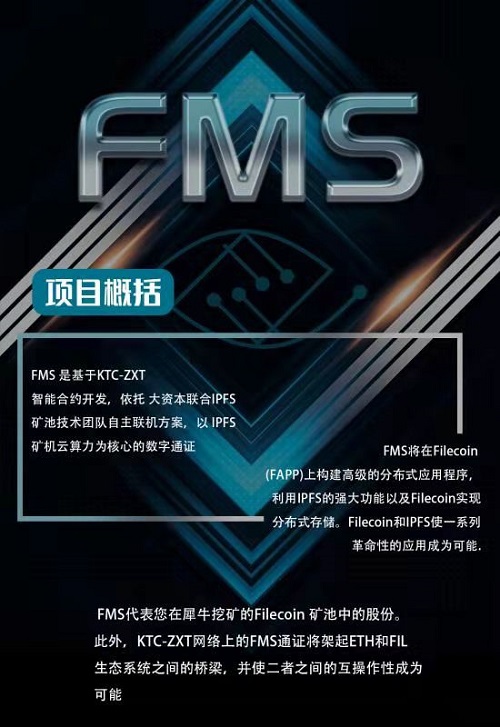 FMS多媒体系统深度开发创新解决方案，打造新的全域互联网