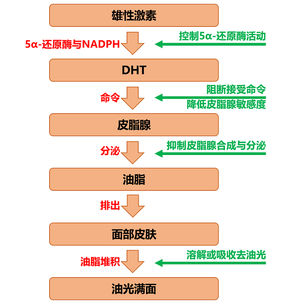 肌肤控油不踩雷，小桔灯面膜从源头上有效解决肌肤出油问题