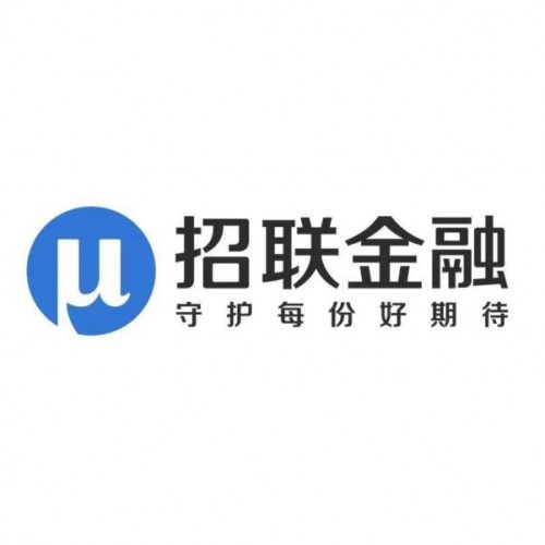 招联金融提供普惠消费信贷服务，满足多元化消费需求