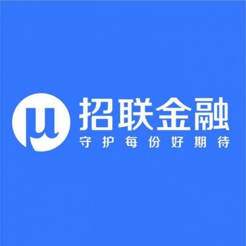 招联金融提供普惠消费信贷服务，满足多元化消费需求