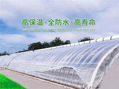 华美沃龙精益创新 打造设施农业民族品牌