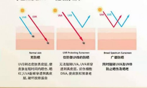 拿破仑小白管防晒的优点有哪些