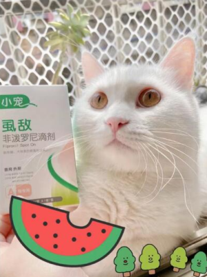 猫咪一定要做好体外驱虫! 体外驱虫首选小宠虱敌！