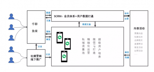 千聊+鱼棠SCRM：用好这4招，0成本0流量也能搭建私域运营体系