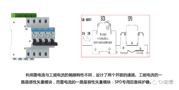 SPD专栏 