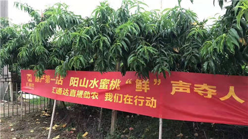 汇通达荣获中国电商扶贫联盟扶贫贡献奖