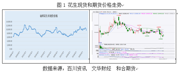 和合期货：花生期货上市对现货企业经营的意义