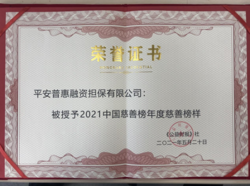 多角度、深层次履行社会责任，平安普惠荣获“年度慈善榜样”