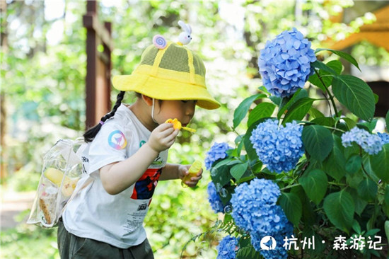 让教育更有意义！大力智能把课堂搬进了大自然